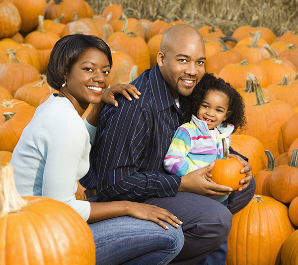 pumpkin patch